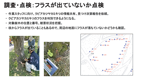 調査・点検