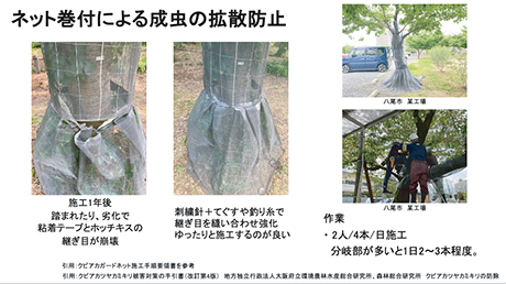 拡散防止