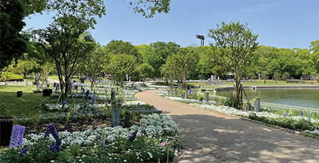 植物園・公園関係