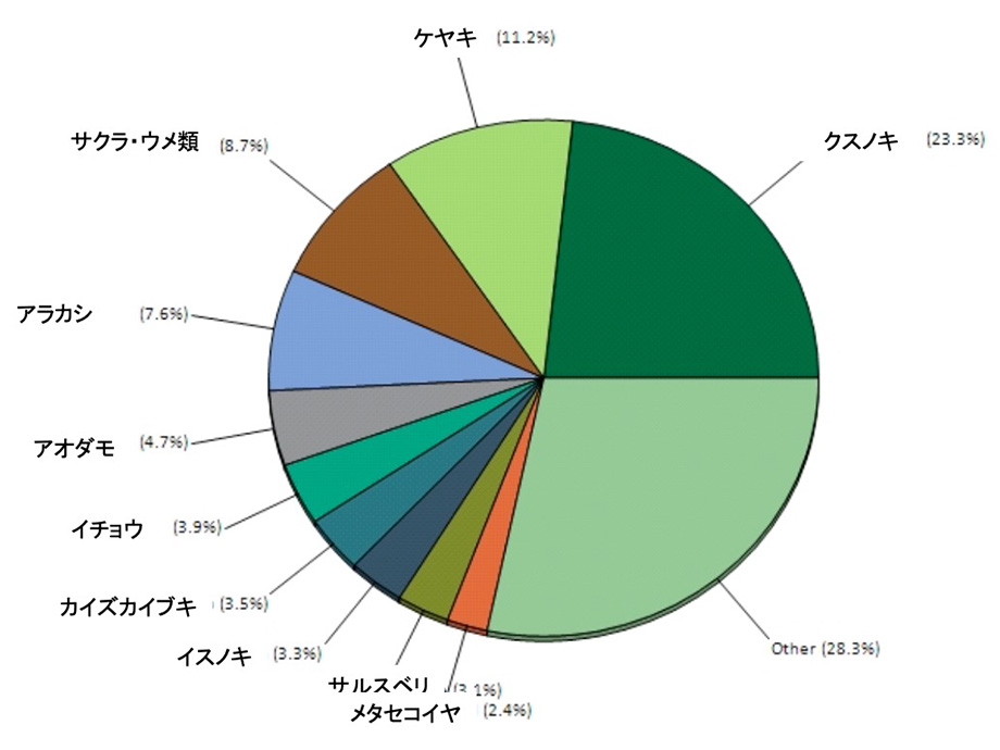 樹林の構成：樹種