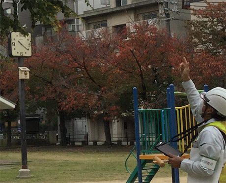 樹木調査