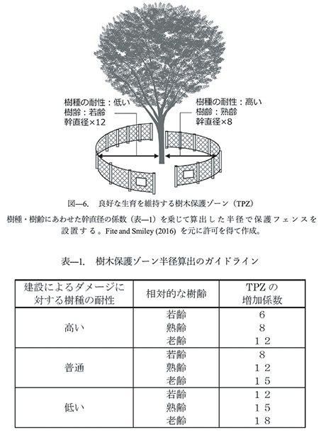 工事における貴重な樹木の保全
